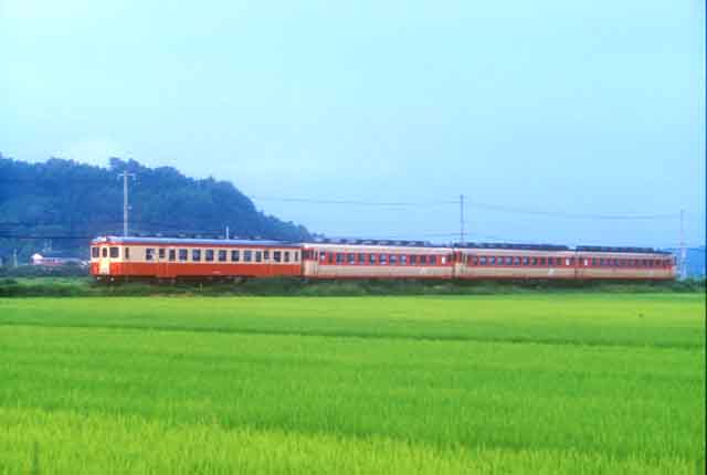 kiPj