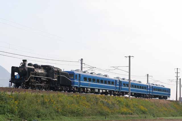 鉄道サボ】（表）高松⇔多度津（裏）多度津⇔高松